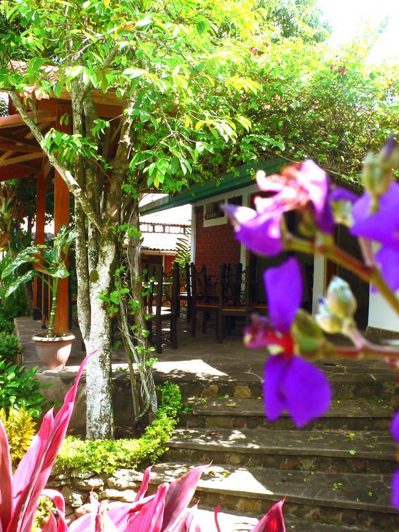 Bubinzana Magical Lodge Tarapoto Buitenkant foto